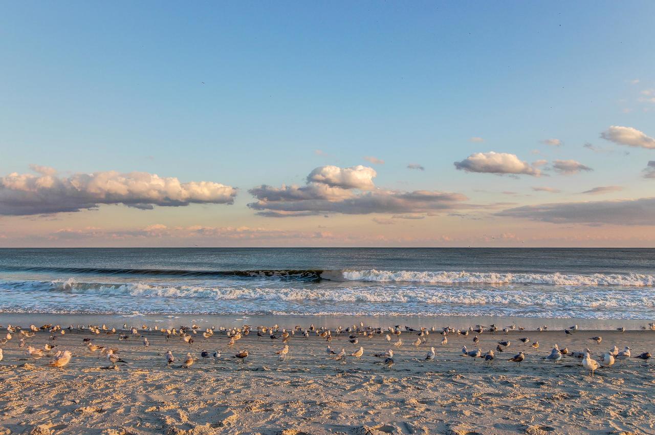 Apartament Arcadian Dunes 26-507 Myrtle Beach Zewnętrze zdjęcie